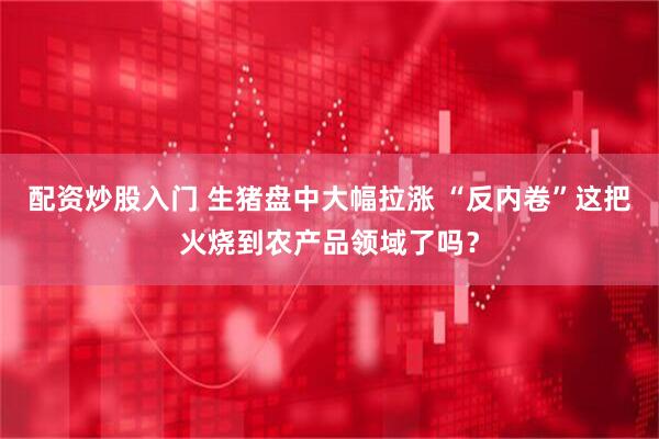 配资炒股入门 生猪盘中大幅拉涨 “反内卷”这把火烧到农产品领域了吗？