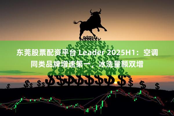 东莞股票配资平台 Leader 2025H1：空调同类品牌增速第一，冰洗量额双增
