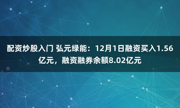 配资炒股入门 弘元绿能:12月1日融资买入1.56亿元,融资融券余额8.02亿元
